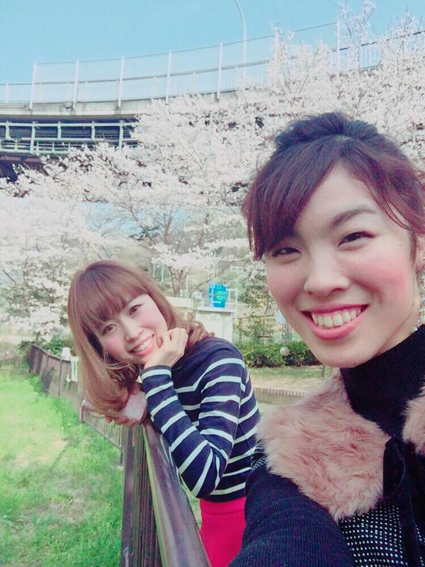柏原、桜が満開ですよ〜☆彡 