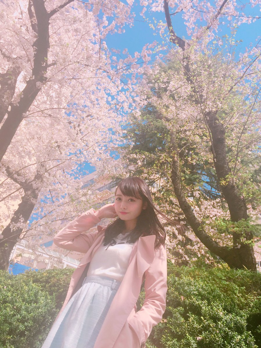 ひなた✖️さくら#桜 🌸#さくら 🌸#SAKURA 🌸 https://t.co/mp06FEN8xG