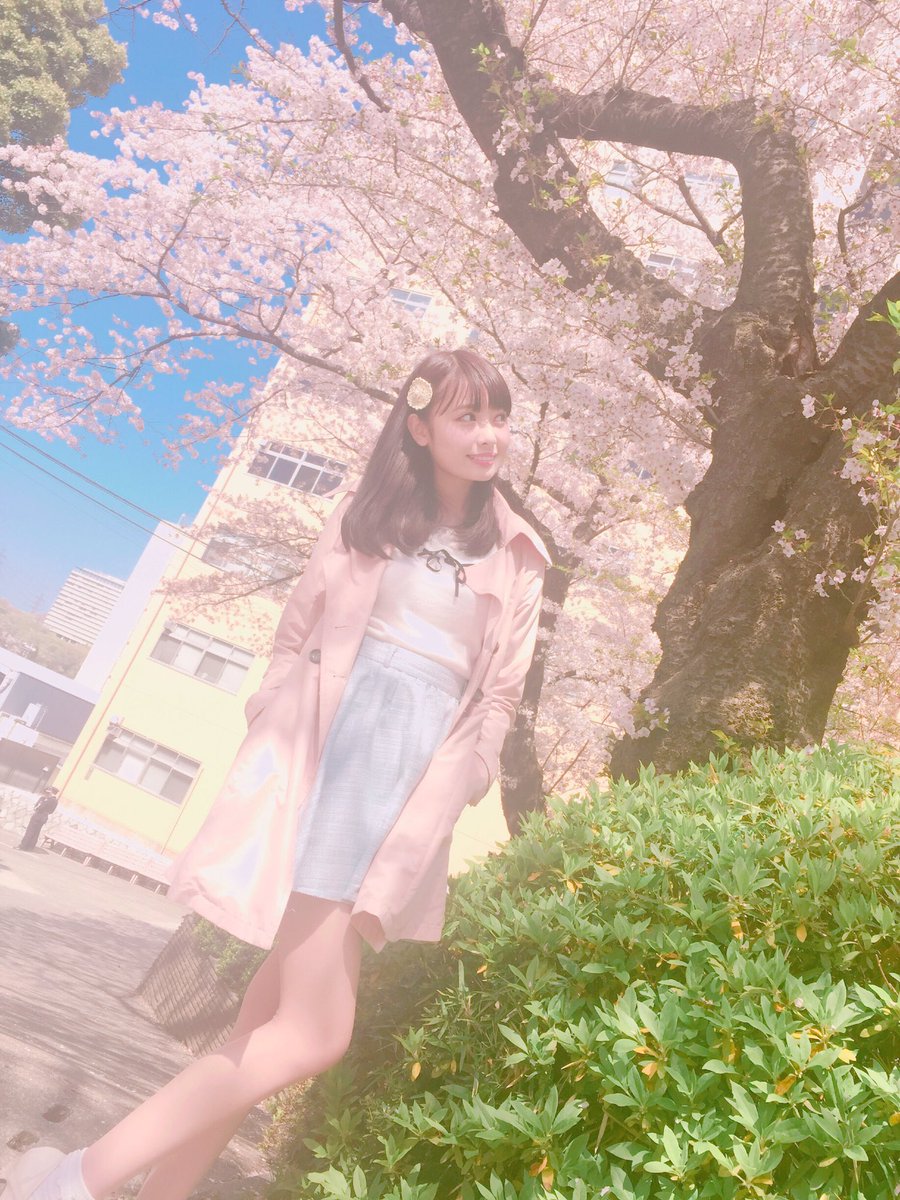ひなた✖️さくら#桜 🌸#さくら 🌸#SAKURA 🌸 https://t.co/mp06FEN8xG