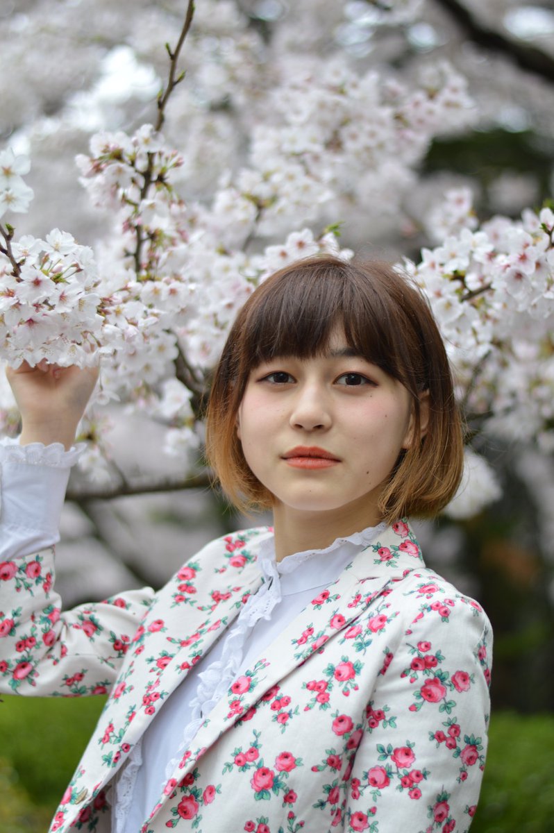 20170408桜花見撮影会in新世界モデル　城戸さくらちゃん18歳になった初日にさくらと桜の撮影会なんて！あまり撮れなかったですが、何枚か貼っておきます。一部の方でも喜んでいたけだければ幸いです。#ハンバーガールZ#城戸さくら https://t.co/VF6OPpXEdZ